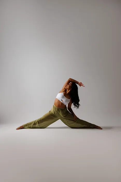 The Dance Barre HTX Picture 5