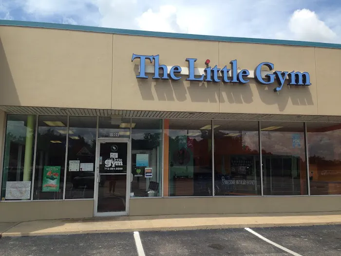 The Little Gym of Houston Heights Picture 2