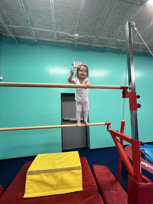 The Little Gym of Houston Heights Picture 3