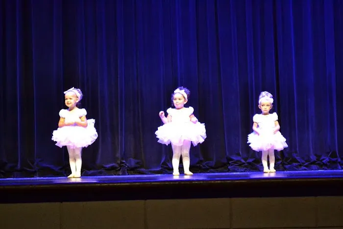Twin Arts Dance Studio Picture 7