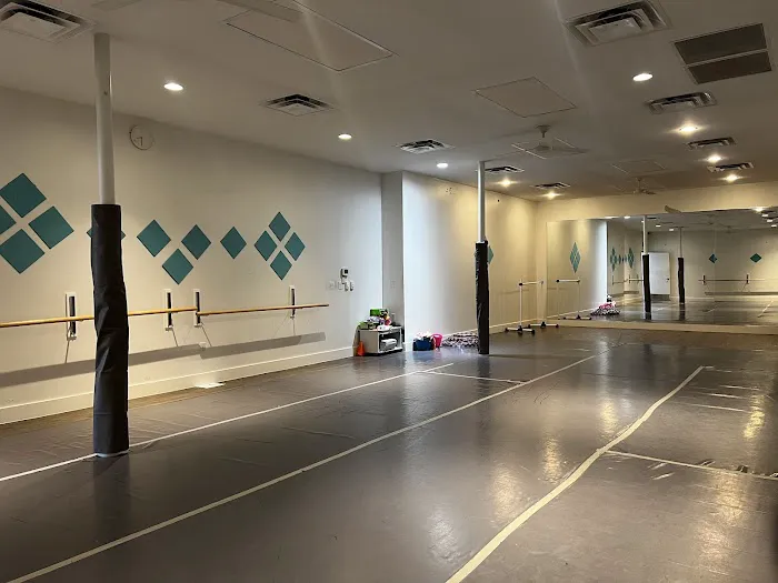 MoveNation Dance Academy Picture 7