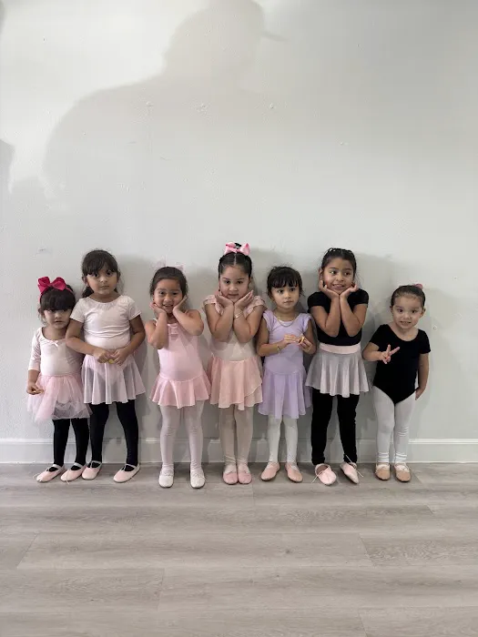 Fer Dance Studio Picture 8