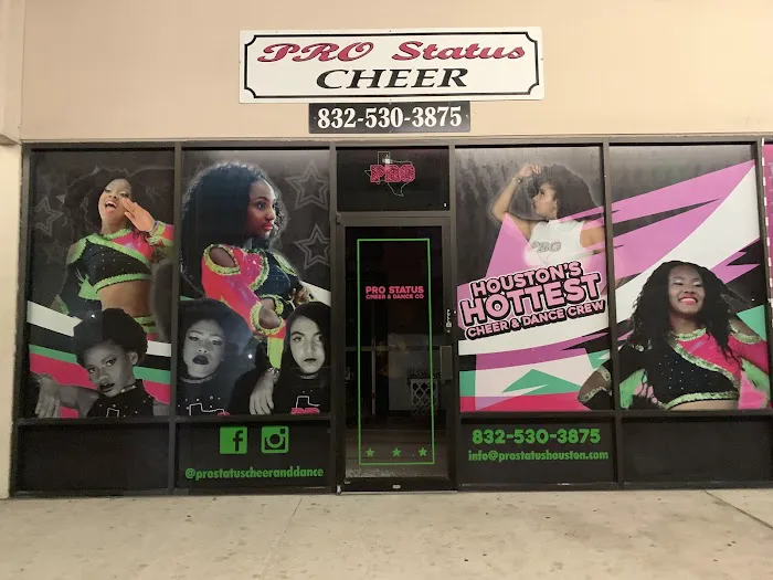 Pro Status Houston Picture 9