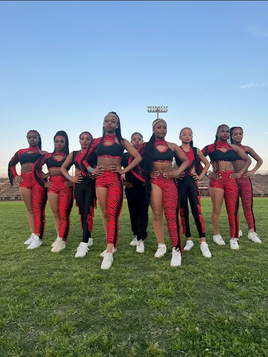 D3 Elite Dance Academy & Team Picture 6