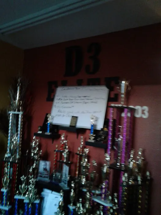 D3 Elite Dance Academy & Team Picture 7