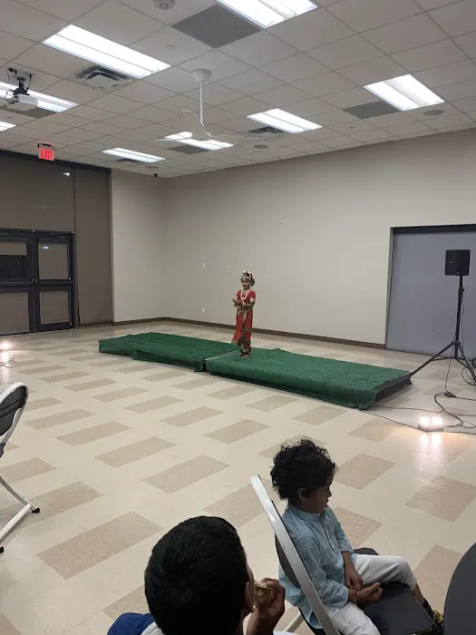Natyavani Institute of Dance and Music Picture 7