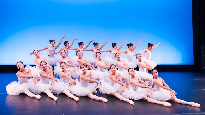 Dance of Asian America Picture 4