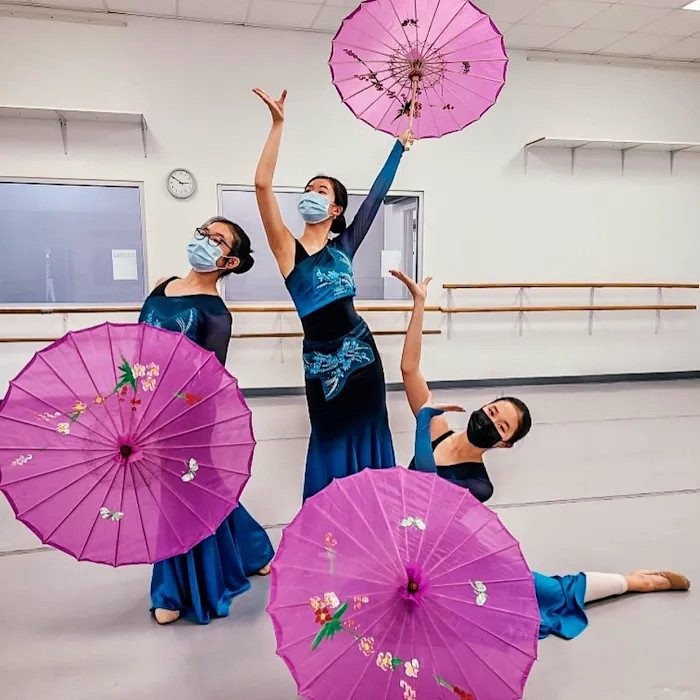 Dance of Asian America Picture 8