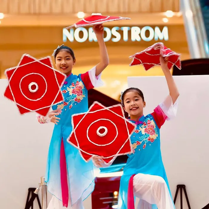 Dance of Asian America Picture 3