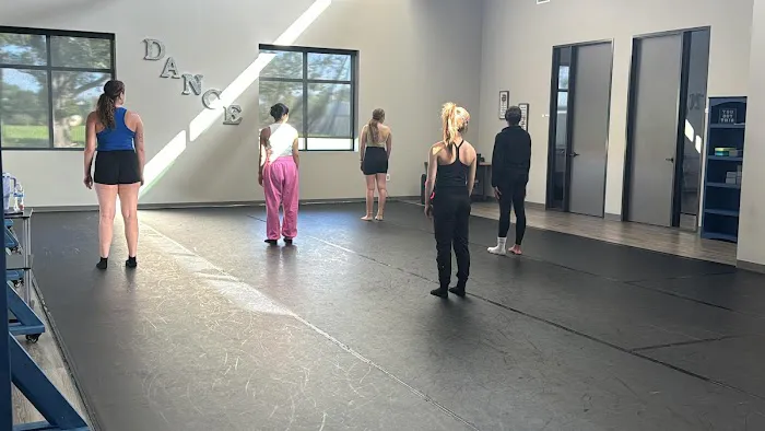 Diversity in Dance Picture 3
