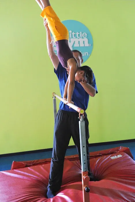 The Little Gym of Pearland Picture 2