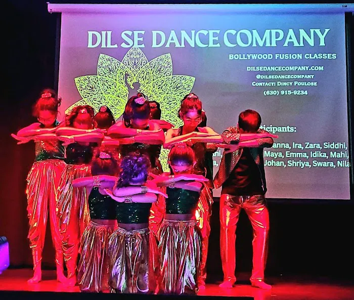 Dil Se Dance Company Picture 8