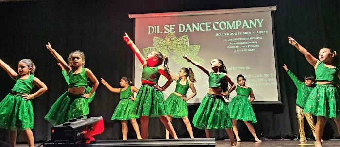 Dil Se Dance Company Picture 4