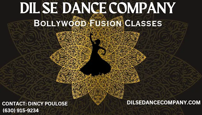 Dil Se Dance Company Picture 5