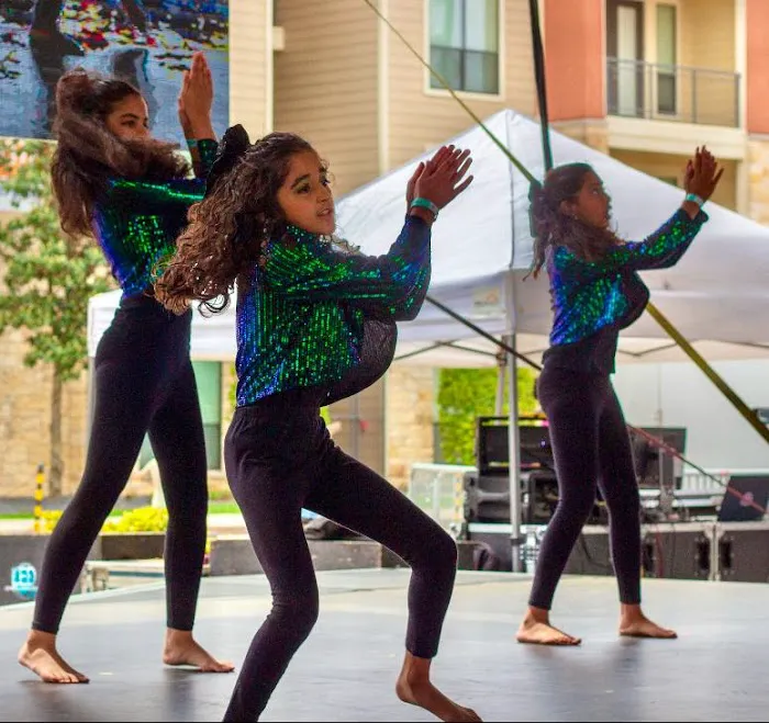 Dil Se Dance Company Picture 3