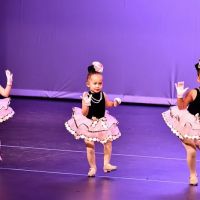 Define Dance and Arts Studio ico