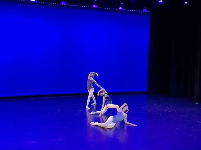 Academy of City Ballet of Houston Picture 6