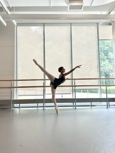 Academy of City Ballet of Houston Picture 3