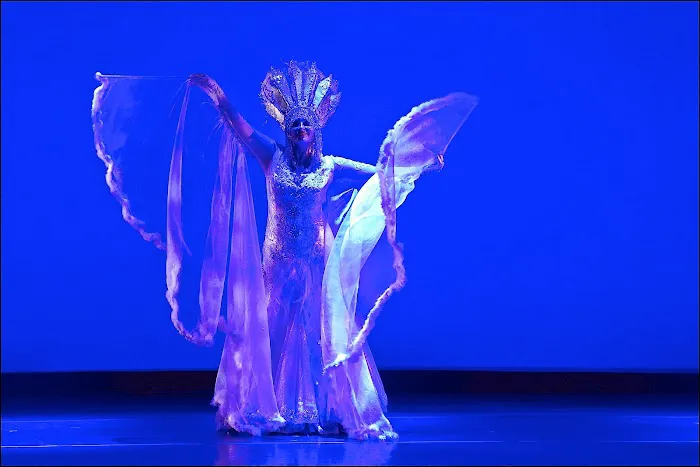 Sunrise International Dance Company Picture 5