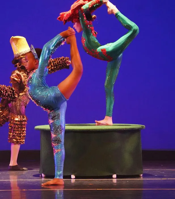 Sunrise International Dance Company Picture 6