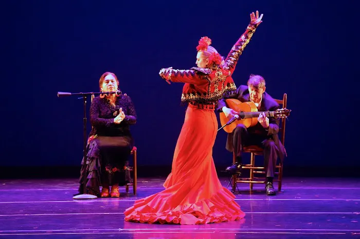Sunrise International Dance Company Picture 2
