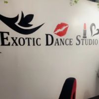 Exotic Dance Studio ico