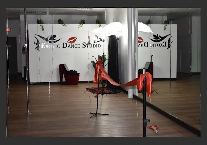 Exotic Dance Studio Picture 2