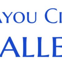 Bayou City Ballet School ico