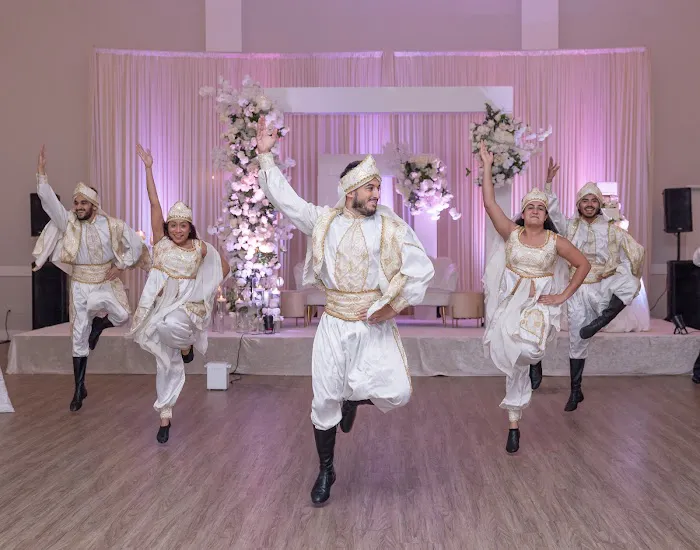 Folkoholic Dance Theatre Dabke & Zaffa group Picture 1