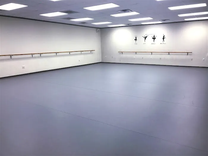 Rachel Dance Academy 休斯顿瑞雪舞蹈学校 Picture 3