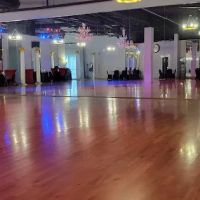 The Dance Place ico