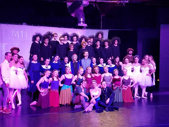 Bay Area Houston Ballet & Theatre Picture 4