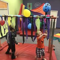 The Little Gym of Friendswood ico