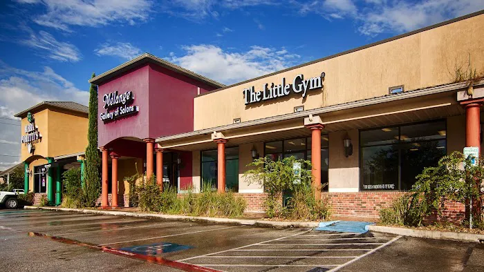 The Little Gym of Friendswood Picture 8
