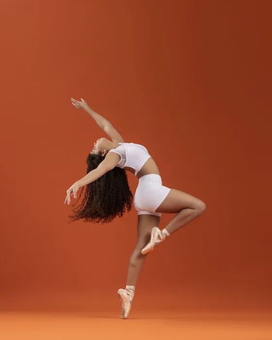 Prodigy 17 Dance Company Picture 7