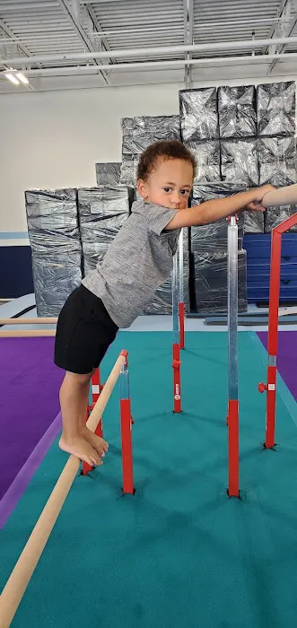 Alpha Omega Gymnastics & Dance Kingwood Picture 6