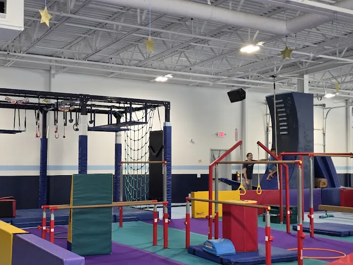 Alpha Omega Gymnastics & Dance Kingwood Picture 1