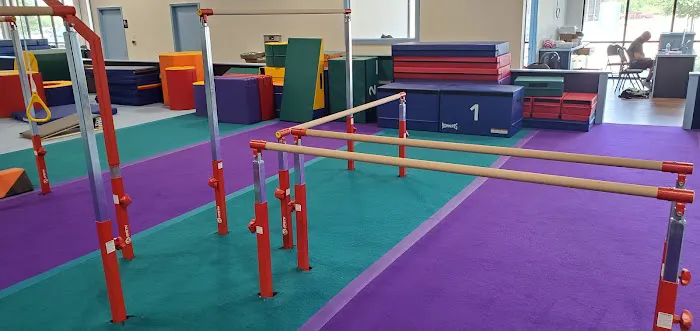 Alpha Omega Gymnastics & Dance Kingwood Picture 4