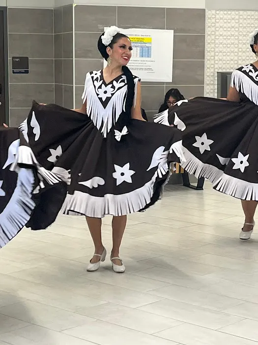 Academy of Folklore and Latin Rhythms Picture 3