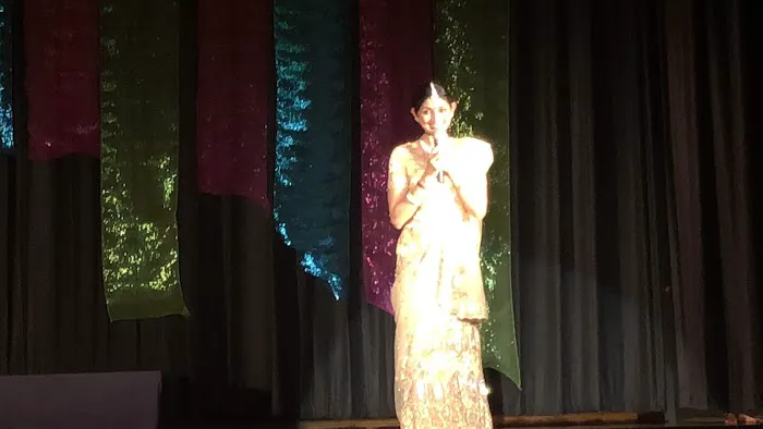 Sreepadam Performing Arts and Cultural Education (Divyaa Unni) Picture 1