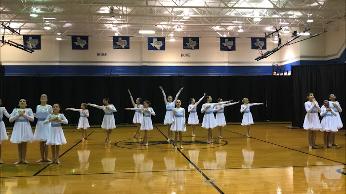Dance Works Picture 8