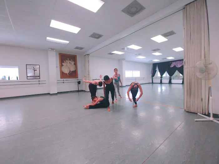 Allegro Academy of Dance Picture 5