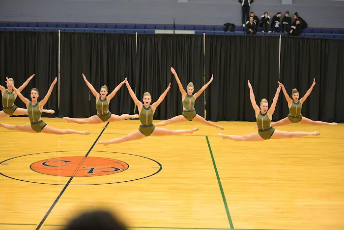 Dancin' Bluebonnets Dance Studio Picture 2