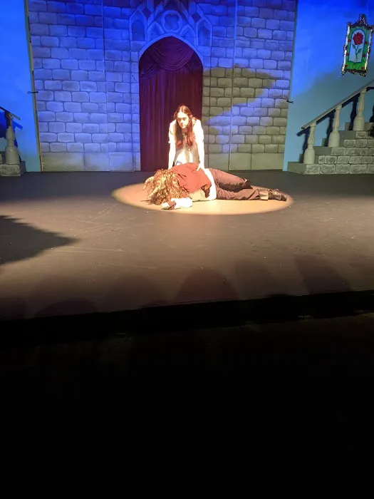 Spark Foundation: Dance, Art, Theater, Music Picture 7