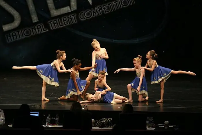 Performing Arts Center Picture 8