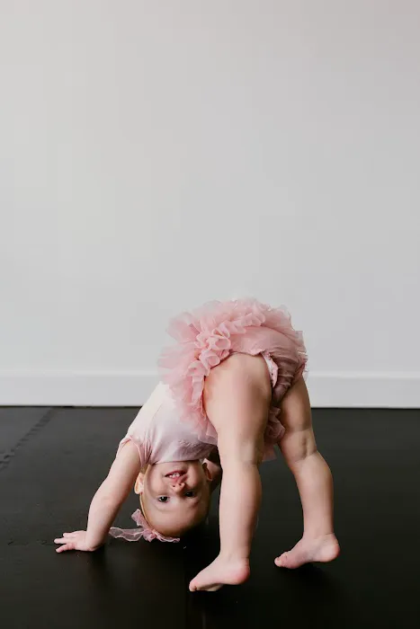 Studio 7 Dance Company Picture 2