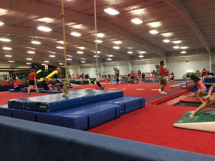 Westwood Gymnastics and Dance Picture 3