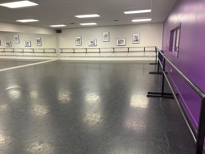 Artistry in Motion Dance Company Picture 5