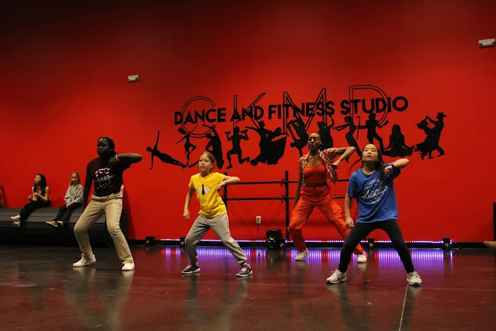 CKMD Dance And Fitness Studio Picture 1