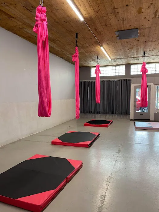 Premiere Dance Centre Picture 1